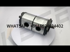 MARZOCCHI ALPA3A-D-60-S1-FG + ALPP3-D-40-FG 이중 기어 펌프 3335020003