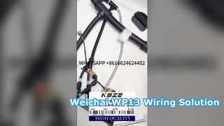 KBZE 1006889780 LGMG SANY XCMG TONLY 광산 덤프 트럭용 WEICHAI WP13 엔진 배선 하네스